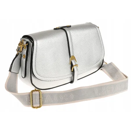 YYcoveri Włoska Marka Torebka Damska Kuferek Listonoszka na Ramę CJL502031 Silver